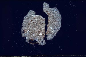 Cross Polarized, S1923