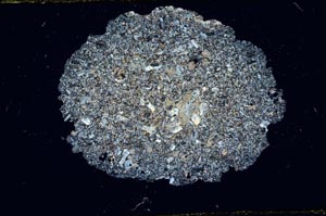 Cross Polarized, S1926