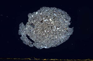 Cross Polarized, S1927