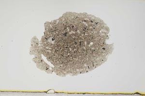 Plane Polarized, S1927