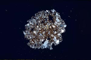 Cross Polarized, S1930