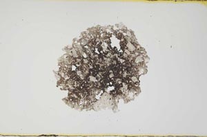 Plane Polarized, S1930