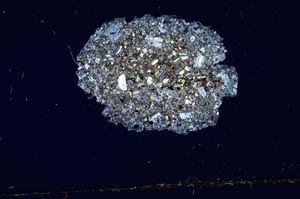 Cross Polarized, S1931