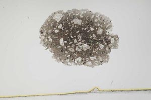 Plane Polarized, S1931