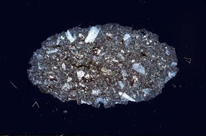 Cross Polarized, S1934