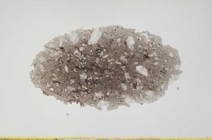 Plane Polarized, S1934