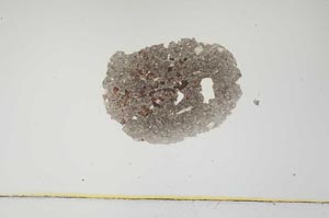 Plane Polarized, S1935