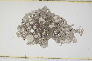 Plane Polarized, S1936