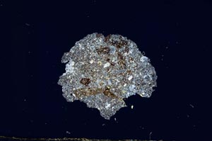 Cross Polarized, S1937