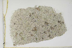 Plane Polarized, S1941