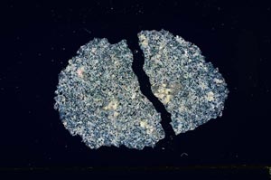 Cross Polarized, S1942