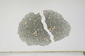 Plane Polarized, S1942