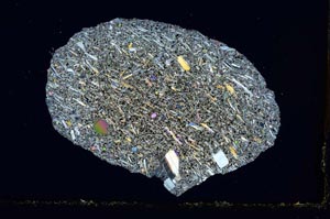 Cross Polarized, S1943