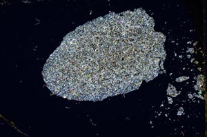 Cross Polarized, S1947