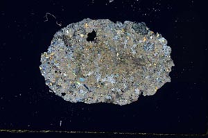 Cross Polarized, S1952