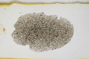 Plane Polarized, S1963