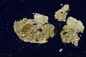 Cross Polarized, S1966