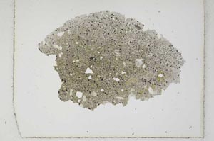 Plane Polarized, S1976