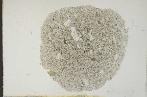 Plane Polarized, S11402