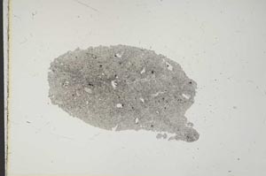Plane Polarized, S11414