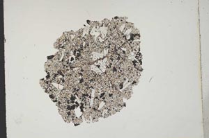 Plane Polarized, S11418