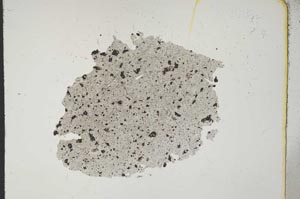 Plane Polarized, S11420