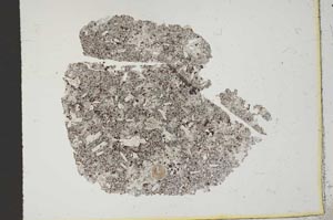 Plane Polarized, S11424