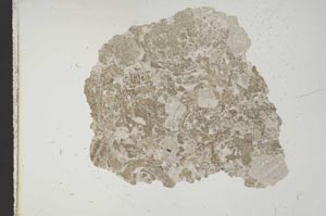 Plane Polarized, S11425
