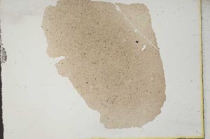Plane Polarized, S11430