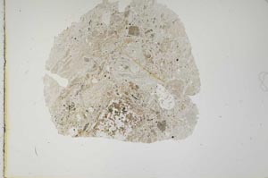 Plane Polarized, S11451