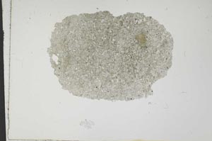 Plane Polarized, S11453