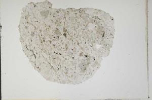 Plane Polarized, S11457