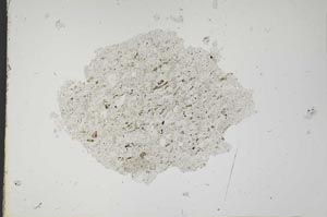 Plane Polarized, S11458