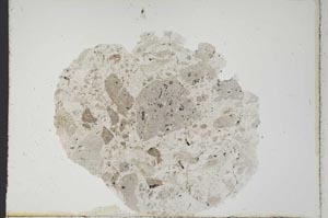 Plane Polarized, S11459