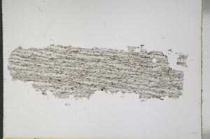 Plane Polarized, S11483