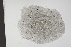 Plane Polarized, S11587