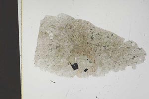 Plane Polarized, S11594