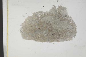 Plane Polarized, S11598