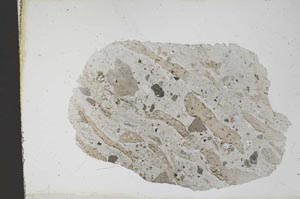 Plane Polarized, S11603