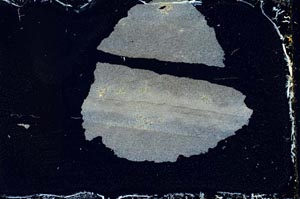Cross Polarized, S11610