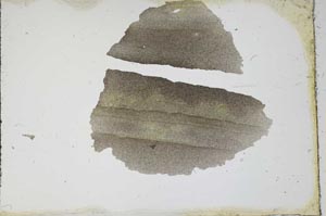 Plane Polarized, S11610