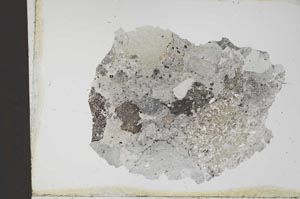Plane Polarized, S11613