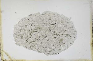 Plane Polarized, S11621