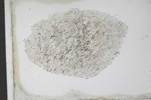Plane Polarized, S11623