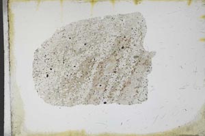 Plane Polarized, S11624
