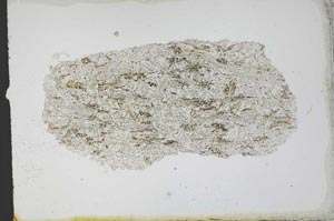 Plane Polarized, S11627