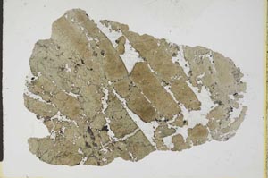 Plane Polarized, S11629