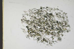 Plane Polarized, S11632