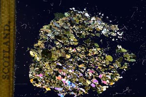 Cross Polarized, S11633