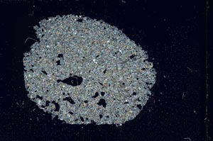 Cross Polarized, S11634